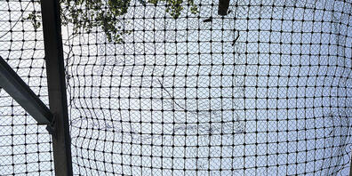 Steinschlagschutznetze hielten einen Grossteil des Materials auf. (Symbolbild)