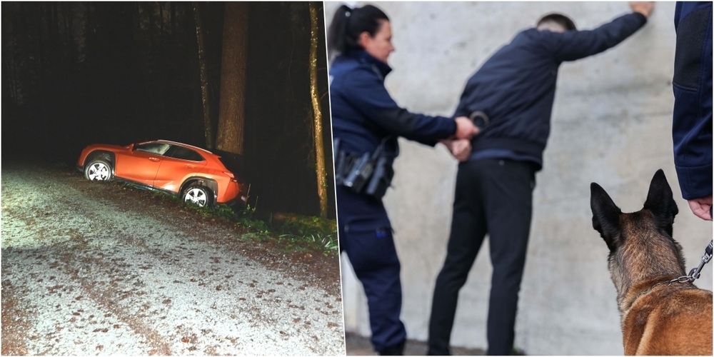 Links: Selbstunfall an der Weiherstrasse. Rechts: Festnahme unter Mithilfe eines Diensthundes (Symbolbild).