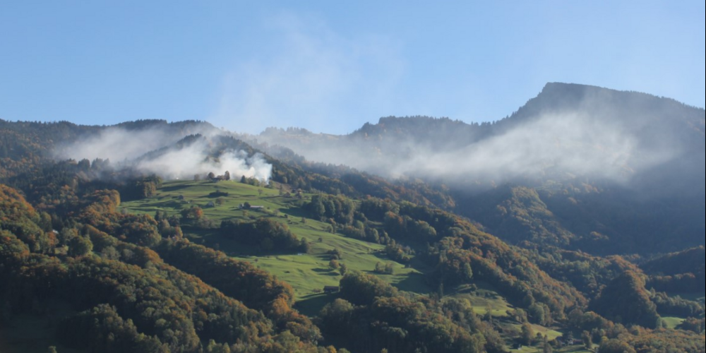 Rauchentwicklung Weideentbuschung im Oktober 2023.