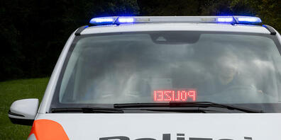 Die Kantonspolizei Thurgau nahm den Jugendlichen fest. (Symbolbild)