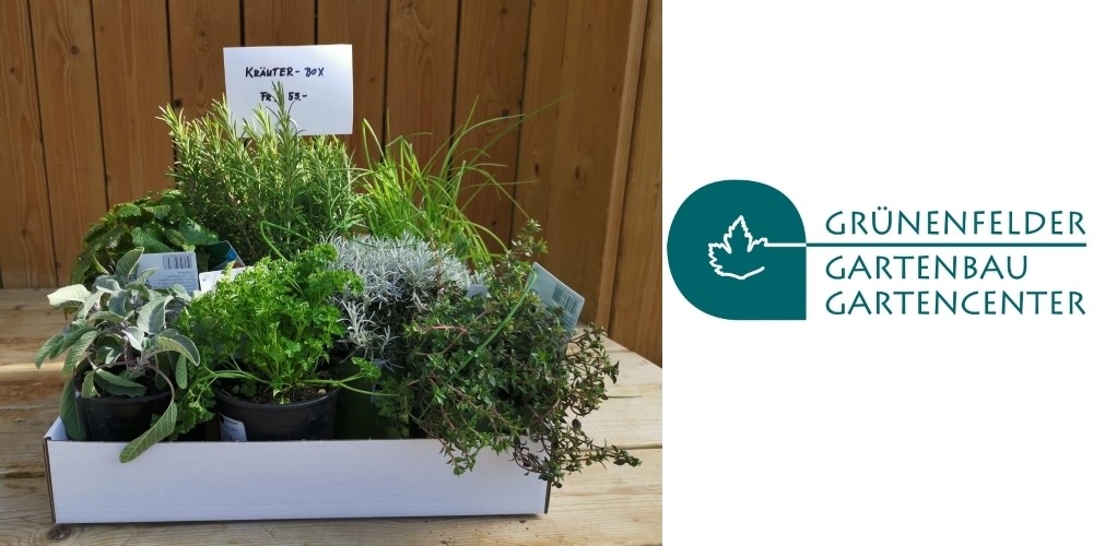 Beim Gartencenter Grünenfelder sind verschiedene Boxen erhältlich: Beeren, Kräuter (im Bild), Selbstversorger...