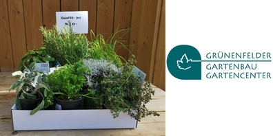 Beim Gartencenter Grünenfelder sind verschiedene Boxen erhältlich: Beeren, Kräuter (im Bild), Selbstversorger...