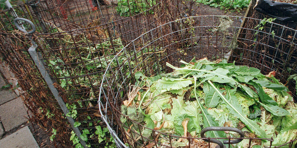 Die Stadt Zürich prüft auch 2024, ob Zürcherinnen und Zürcher kompostieren.