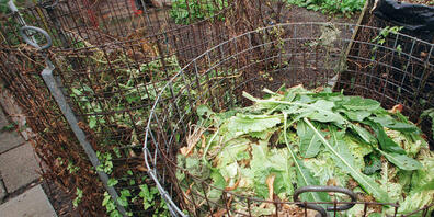 Die Stadt Zürich prüft auch 2024, ob Zürcherinnen und Zürcher kompostieren.