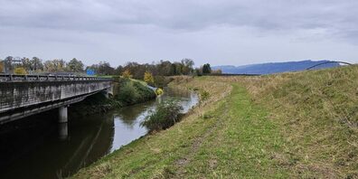 Die derzeitige und ungenügende Zufahrt zur Erreichbarkeit des Hochwasserdamms beim Bruggerhorn