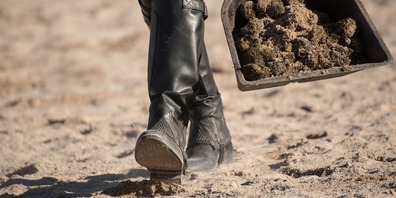 Reitplatz beim Gestüt Seebligg kann bleiben.