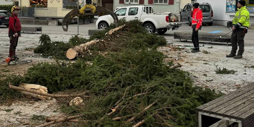 Der Götzner Weihnachtsbaum wurde bereits zersägt und abtransportiert