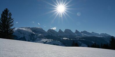Am 28. Januar wird die Sonnenseite von Wildhaus mit Schneeschuhen begangen.