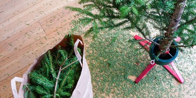 Upcycling oder entsorgen?