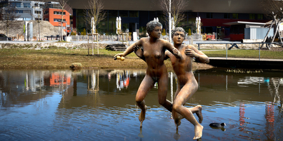 Die vermeintlich neue Skulptur im Freizeitpark Erlenmoos. Passen würde es schon… (Bild: Joe Niederberger)