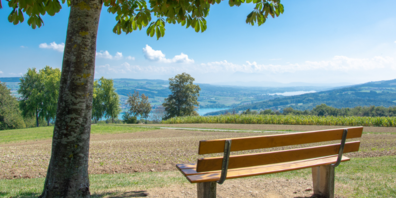 Die Aussicht von Reinach-Homberg. 