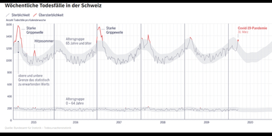 Das Bundesamtes für Statistik zeigt auf, wie die Todesfälle zurzeit eingeordnet werden müssen.