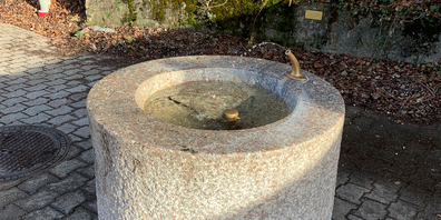 Wird sie bald von Moos überwachsen? Die Plakette scheint gar nicht zum Brunnen zu gehören.