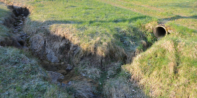 Die Gemeinde Feusisberg habe für fast alle ihre Bäche zu wenig Gewässerraum ausgeschieden. Dies könne Schäden durch Hochwasser zur Folge haben, schreiben WWF Schwyz, Pro Natura und Aqua Viva. (Bild: Silvia Gisler)