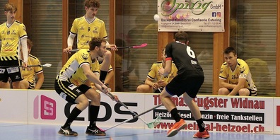 Die Gators wurden an diesem Wochenende zweimal gebodigt