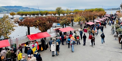 Vielfalt, Folklore und Faszination: Am Samstag gehörte der Rapperswiler Seequai ganz den Käseliebhabern und Entdeckern.
