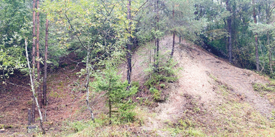 Der Regionale Naturpark Schaffhausen pflegt und wertet jedes Jahr mithilfe von Firmen zahlreiche Gebiete auf. Hier wurde das Gebiet Luusbuck in Beringen aufgelichtet.