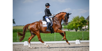 Andrina Suter wird bei den Dressurprüfungen ebenfalls antreten.