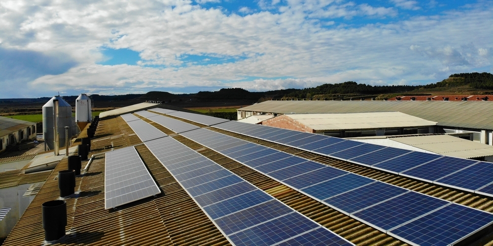 Das Solarstrompotenzial auf Flächen von KMU und Landwirtschaftsbetrieben lässt sich sinnvoll und wirtschaftlich nutzen. (Themenbild)