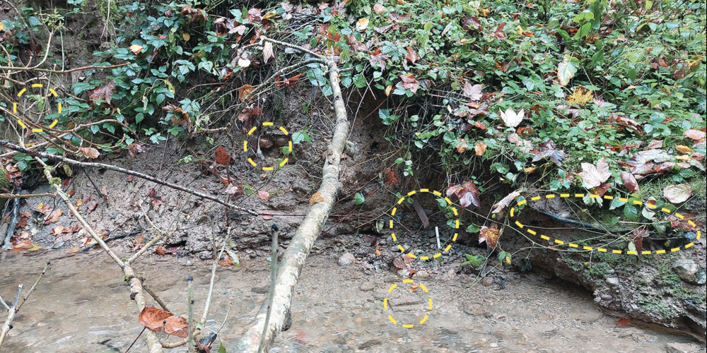Bei genauer Betrachtung sind die in den Bach abrutschenden Abfallelemente (gelbe Kreise) in der erodierenden Bachuferkante ersichtlich.