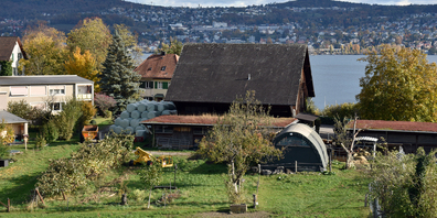 In Wollishofen liegen Land und Stadt nahe beieinander.