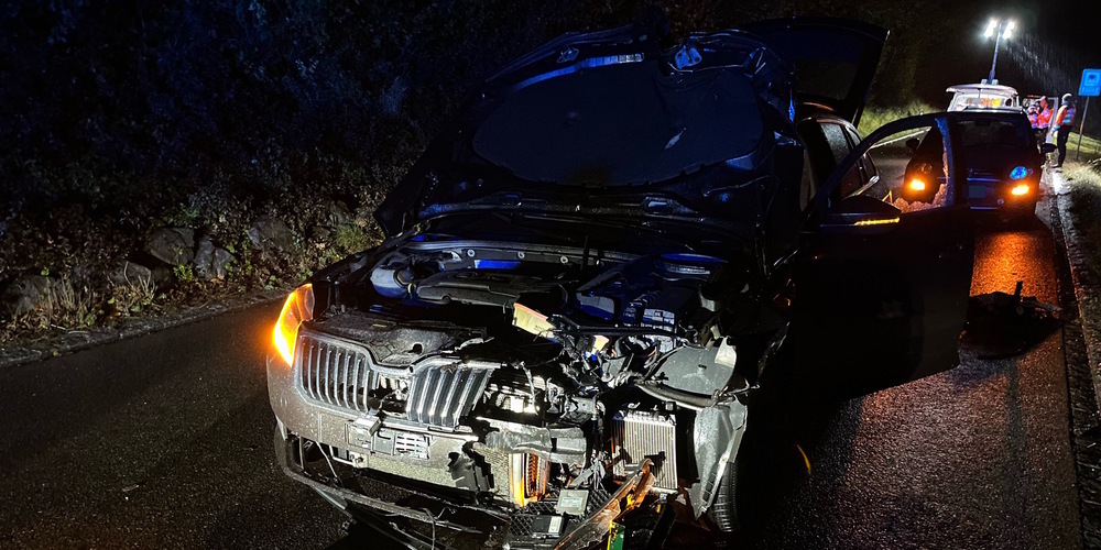 Das Auto kollidierte frontal mit dem Töfflilenker. 