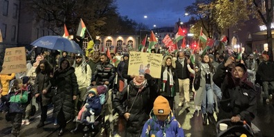 Palästina-Demonstranten müssen sich dem Gericht stellen.