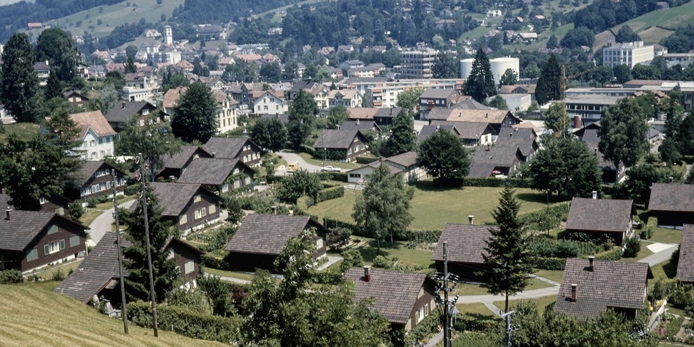 Das Brendiquartier (hier im Jahre 1976) soll sich moderat weiterentwickeln können.