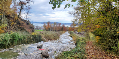 Am Montag beginnen oberhalb Galgenen und Altendorf die rund ein Jahr dauernden Bauarbeiten für den Geschiebeablagerungsplatz Bisigwis.