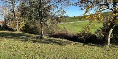 Allmendbach im Bereich der Sportanlage Ifang, Bazenheid
