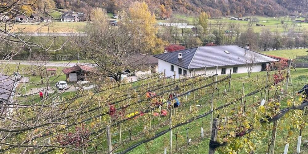 Der 33-jährige Gleitschirmpilot wurde zuerst notfallmedizinisch betreut, ehe er ins Spital nach Lugano geflogen wurde.