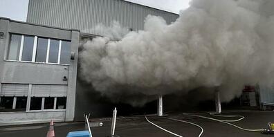 Der Brand in der Entsorgungsstelle Hefenhofen hat am Samstagmorgen zu einer starken Rauchentwicklung geführt.