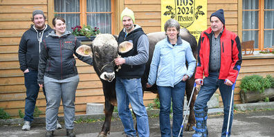 128. Nordostschweizer Schwingfest in Meilen: Das ist der Siegermuni "Perfekt".