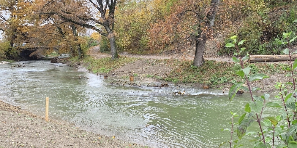 Wieder eine weitgehend natürliche Flusslandschaft. Die Glatt wurde im Altried aus ihrem tristen Betonkorsett befreit. Mensch und Natur profitieren davon.
