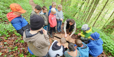 Die Naturparkschulen packten tatkräftig mit an, um die Gebiete in der eigenen Gemeinde biodiversitätsfreundlich zu gestalten.