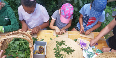 Mit dem neuen Projekt Naturpark-Spielgruppen und -Kindergärten möchte der Regionale Naturpark Schaffhausen eine ganz junge Zielgruppe erreichen und für die schützenswerte Lebensumgebung sensibilisieren.