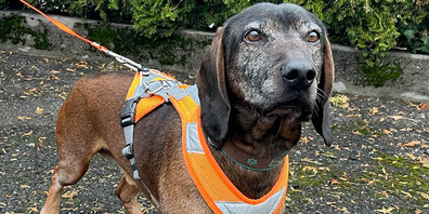 Eddy fand die vermisste Person am Bahnhof Baar.
