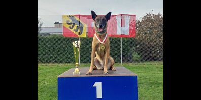 Diensthündin, Esperanza „Exe“ de Marina de los Molinos der Thurgauer Kantonspolizei ist Schweizermeisterin.