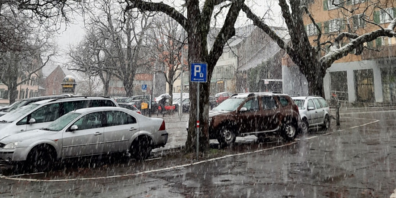 Für die Sicherheit: Die Rosskastanie auf dem Viehmarktplatz wird am Dienstag, 5. Dezember gefällt.