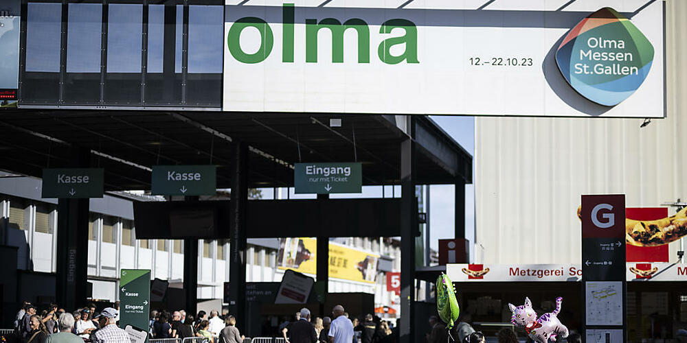 Ein wichtiges Geschäft für die Olma Messen sind Kongresse und Tagungen. Dafür braucht es die Halle 9, die vom Abbruch bedroht ist. (Archivbild)