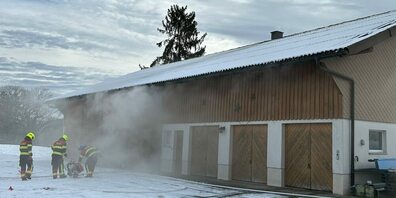 Bei diesem Mottbrand wurde niemand verletzt.