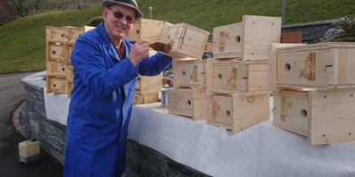 Grosspapi Armin Hegner baut Nistkästen und montiert sie an geeigneten Orten, Enkel Lionel stellt die Bilder aus den Kästen online.  (Bild: zvg)