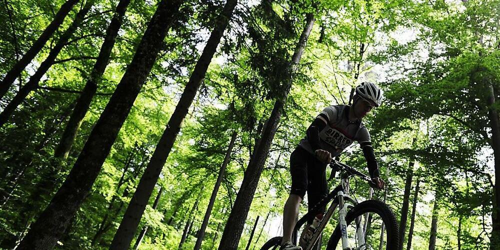 Das Biken im Wald wird im Kanton Zug auf Bikerouten und Waldstrassen beschränkt. (Symbolbild)