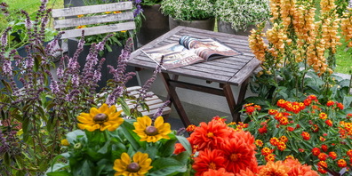 Eine insektenfreundliche Terrasse ist im Handumdrehen eingerichtet (im Vordergrund vlnr: Strauchbasilikum, Rudbeckie, Dahlie, Wandelröschen, Hybrid-Fingerhut).