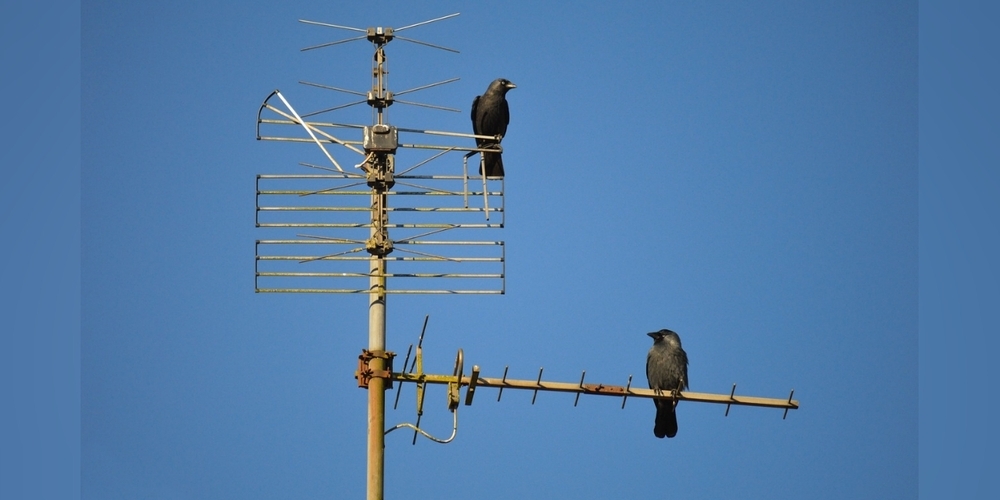 Steht in Küttigen bald eine weitere 5G Antenne? (Symbolbild)