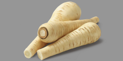 Die Pastinake wächst wie das Rüebli oder der Rettich unter der Erde.