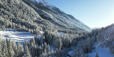 Im Taminatal schoss die St. Galler Wildhut einen Wolf. (Archivbild)