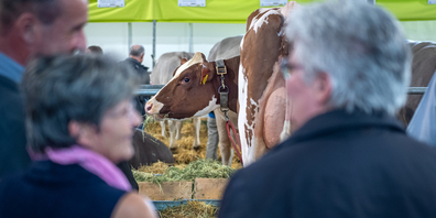 Auch dieses Jahr ist die internationale Landwirtschaftsmesse zu Gast in St.Gallen.