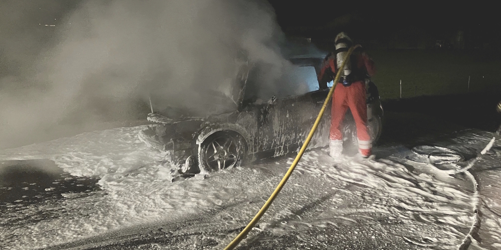Die sofort alarmierte Feuerwehr Näfels-Mollis brachte den Brand schnell unter Kontrolle.
