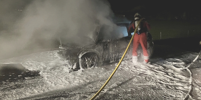 Die sofort alarmierte Feuerwehr Näfels-Mollis brachte den Brand schnell unter Kontrolle.